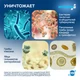 ИНТЕРХИМ D10 Щелочное дезинфицирующее средство, 5 л (M) DZ01050