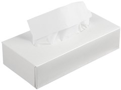 Салфетки косметические 2-слойные, 100 листов 12-1394