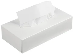 Салфетки косметические 2-слойные, 100 листов 12-1394